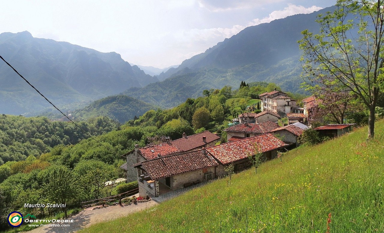 70 Mi porta a Bosco Fuori....JPG